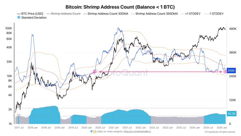 Bitcoin Shrimp Address Count (Balance < 1 BTC) | Source: Axel Adler on X