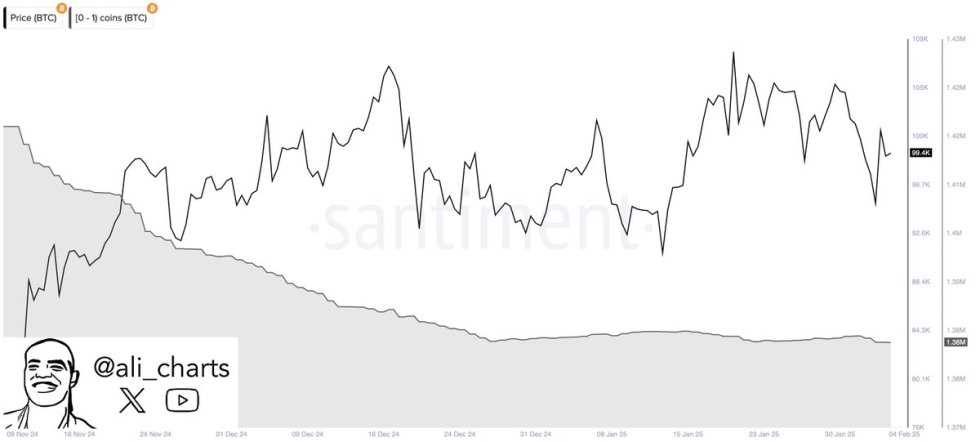 Bitcoin wallets owning 0-1 BTC declines | Source: Ali Martinez on X 