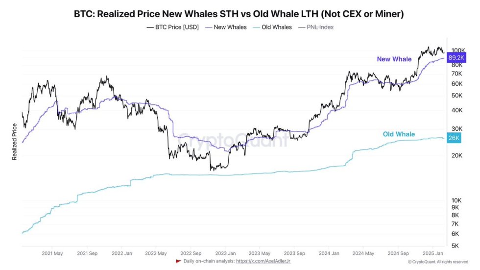 Bitcoin Realized Price New Whales | Source: Axel Adler on X