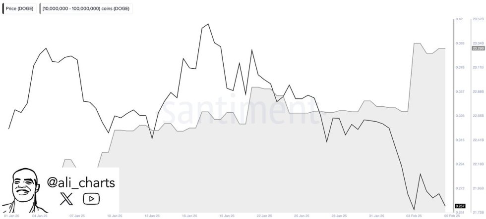 Dogecoin whales accumulated 750M DOGE | Source: Ali Martinez on X