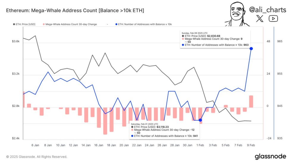 Ethereum Mega-Whale Address Count | Source: Ali Martinez on X