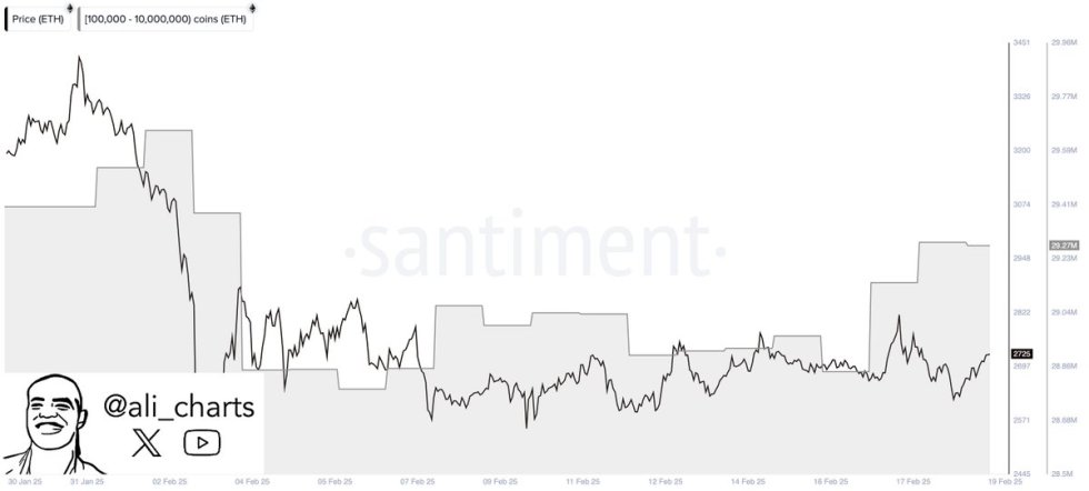 Ethereum whales keep buying | Source: Ali Martinez on X