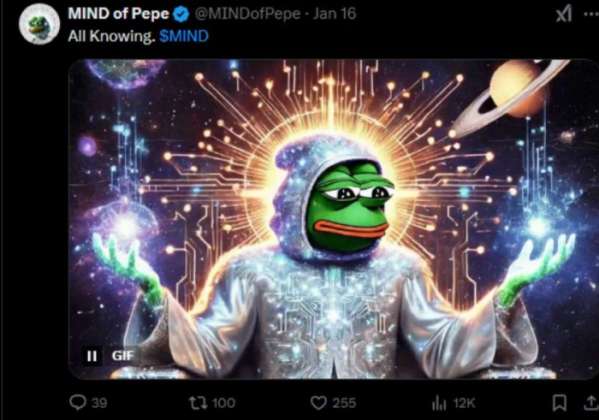 https://twitter.com/MINDofPepe/status/1879917716292944272