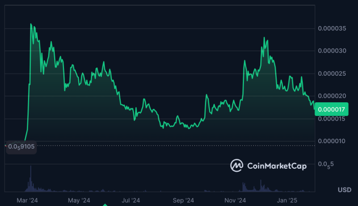 $SHIB price over the last year on CoinMarketCap. 