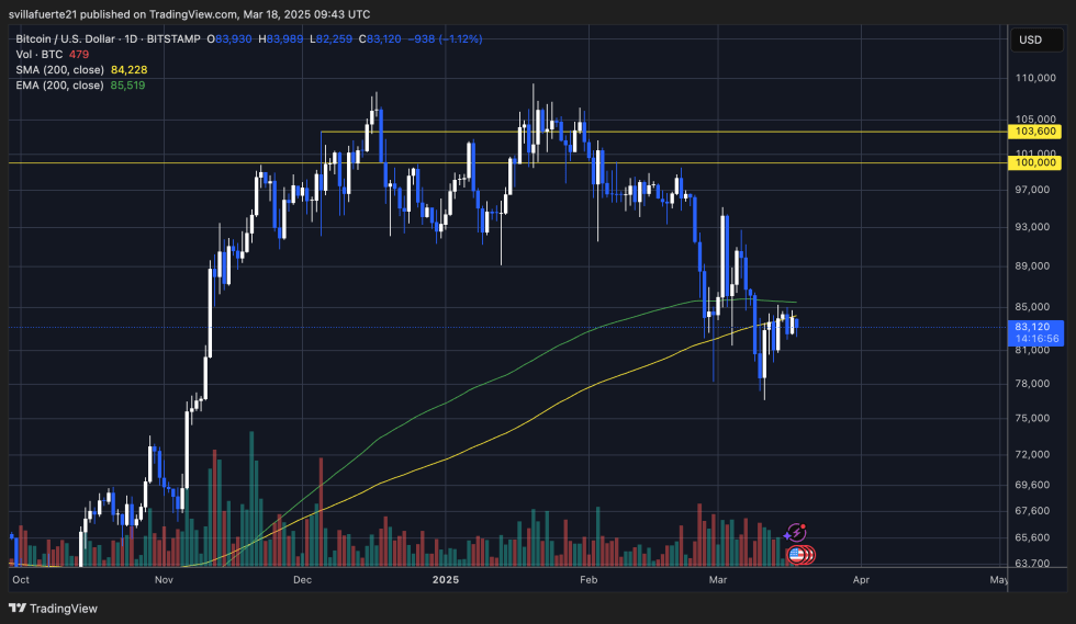 BTC testing the 200-day MA | Source: BTCUSDT chart on TradingView