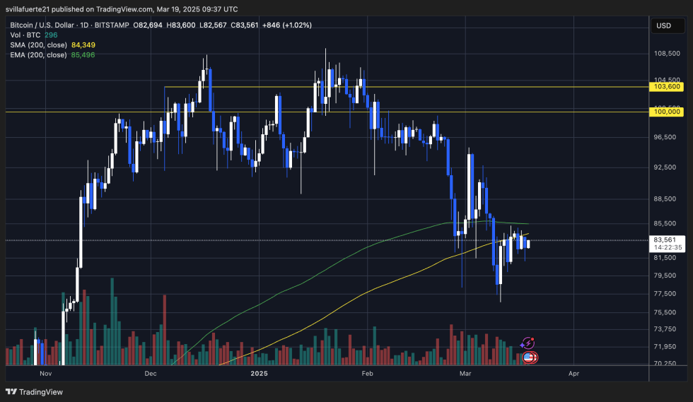 BTC is trading below the 200-day MA | Source: BTCUSDT chart on TradingView