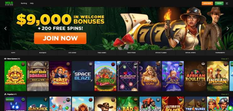 Wild Casino home page