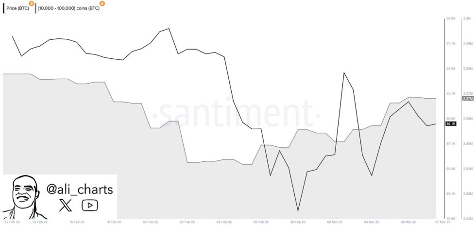 Bitcoin whales have bought over 30,000 BTC in two weeeks | Source: Ali Martinez on X