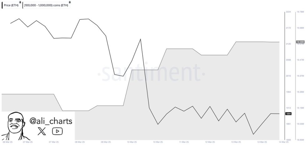 Ethereum whale accumulation | Source: Ali Martinez on X